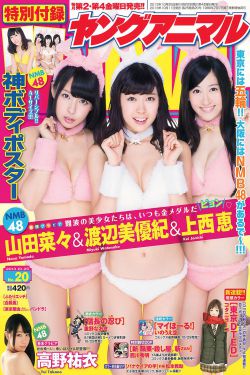 超级宝贝jojo全集免费播放第一季