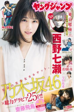 终极女保镖完结