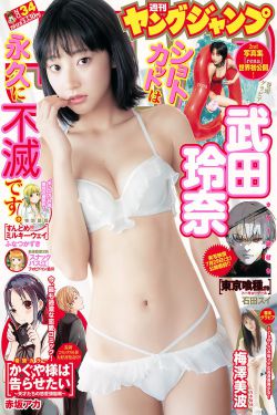 性火坑乳燕a