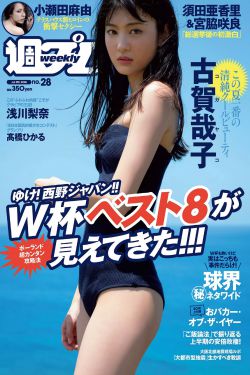整篇都是车的多肉百合